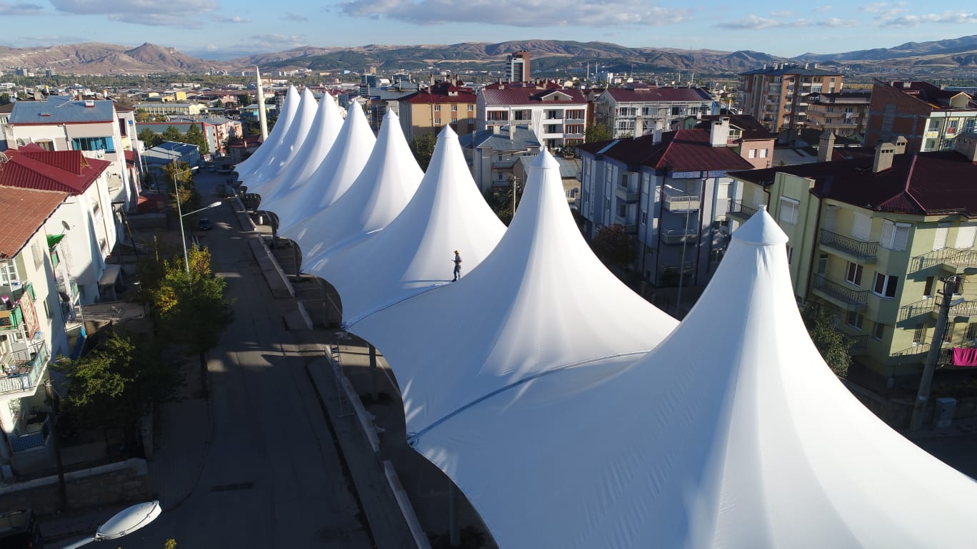 Asma Germe Pazaryeri sistemleri